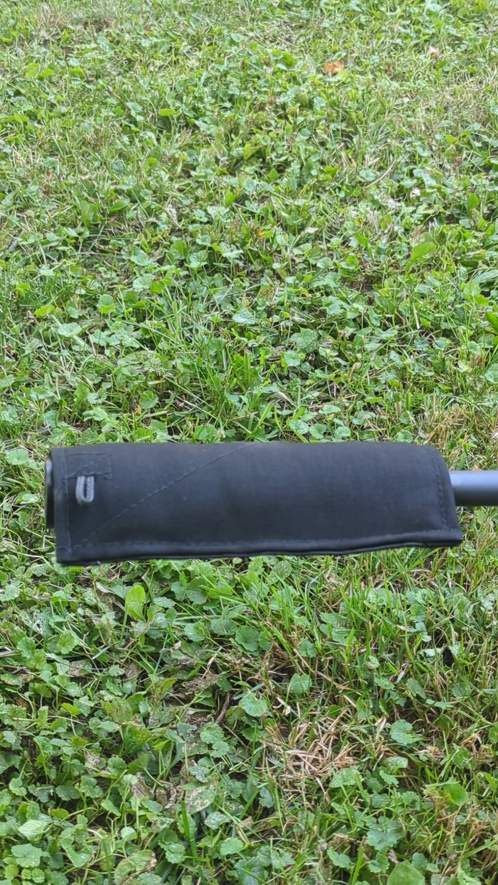 BOLO