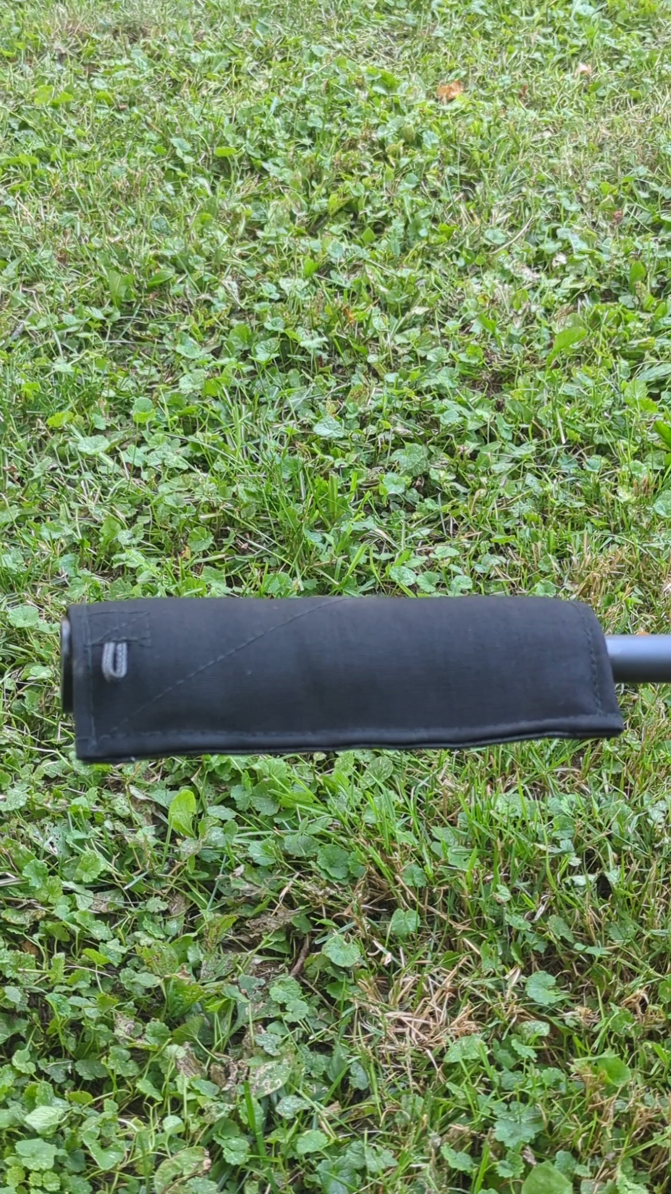 BOLO